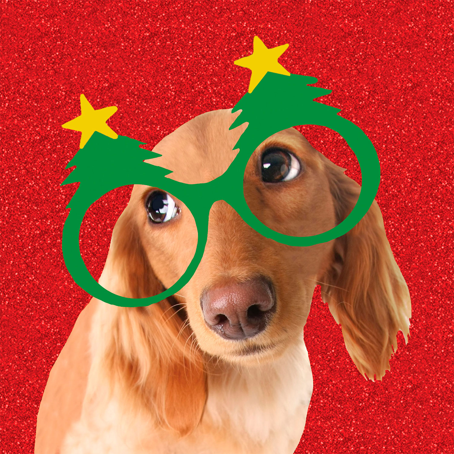 Tarjeta Teckel con Gafas de Árbol