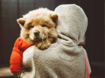 5 formas en que tu perro te demuestra cariño