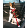 Car Harness - Cat