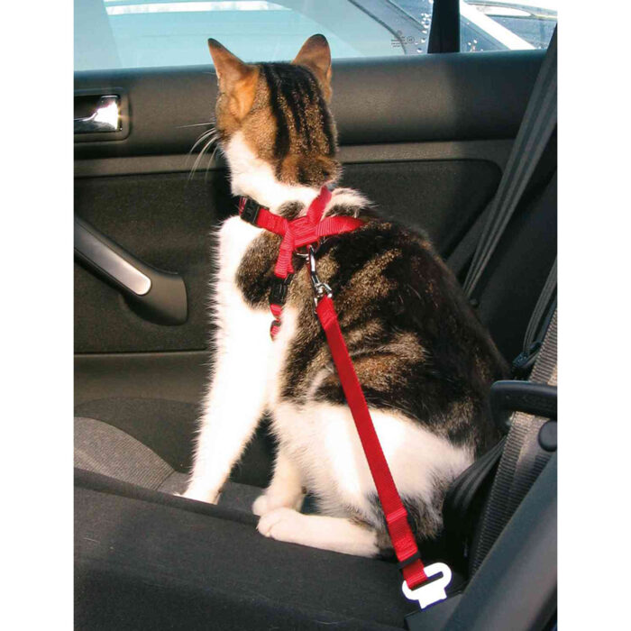 Car Harness - Cat