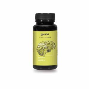 Neuro Active - Suplemento 3 en 1: Ginseng, Ginkgo Biloba y Vitaminas B para bienestar cognitivo