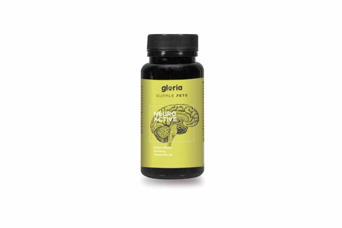 Neuro Active - Suplemento 3 en 1: Ginseng, Ginkgo Biloba y Vitaminas B para bienestar cognitivo