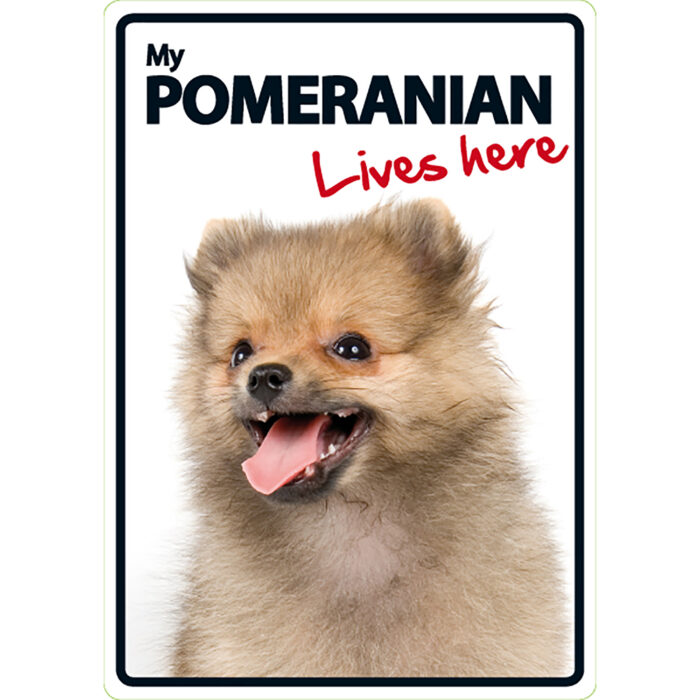 Señal My POMERANIAN Live here