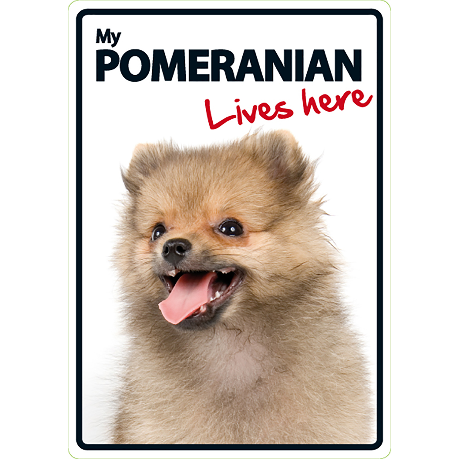 Señal My POMERANIAN Live here
